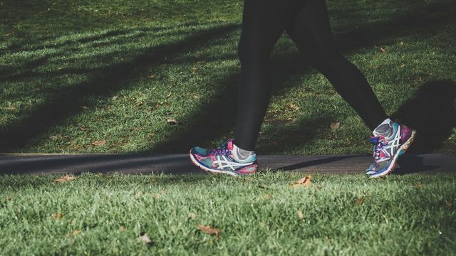 A person walking on a path. 