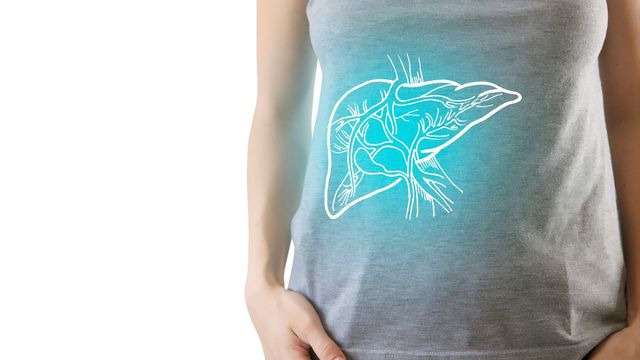 White outline of a human liver and blood vessels on a woman wearing a grey t-shirt. 