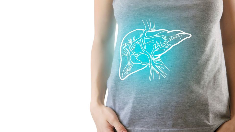 White outline of a human liver and blood vessels on a woman wearing a grey t-shirt.