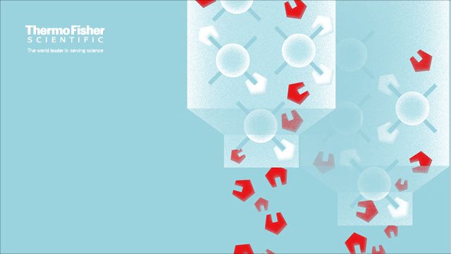 Small red hexagonal molecules flow through an outline of a chromatography column. 