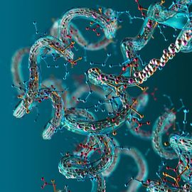 3D protein molecules showing the molecular backbone 