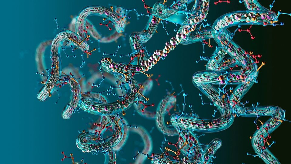 3D protein molecules showing the molecular backbone