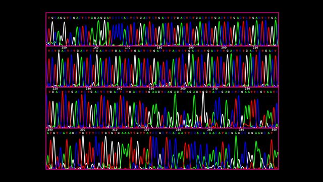 Sequencing 