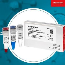 SuperScript IV UniPrime One-Step RT-PCR System 