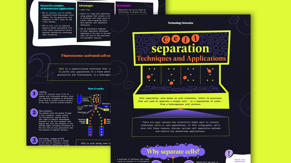 Cell Separation: Techniques and Applications infographic snippet