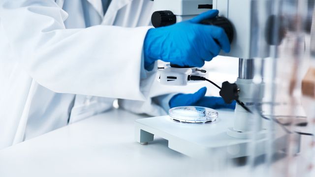 A scientist in a lab coat is examining a specimen under a microscope, conducting research in a laboratory setting. 