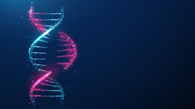 Double helix structure of DNA. 