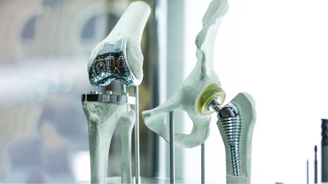 Knee and hip replacement models. 