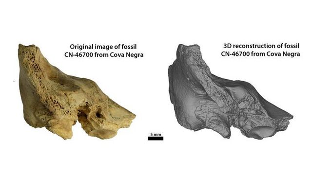 Fossil CN-46700. 