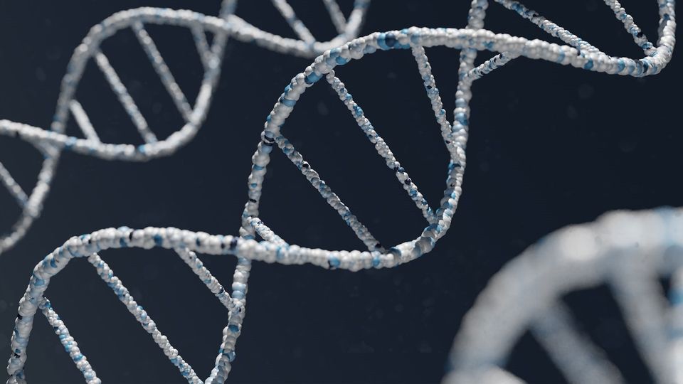 A white and blue strand of DNA.