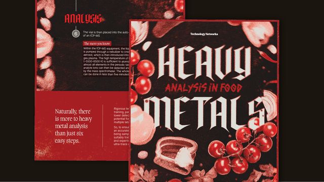 Heavy Metal Analysis In Food infographic snippet 