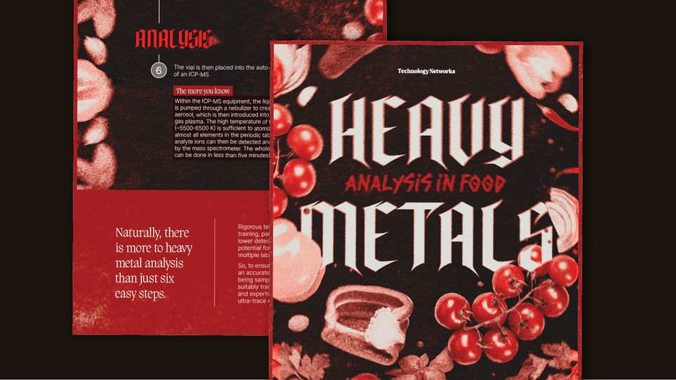 Heavy Metal Analysis In Food infographic snippet