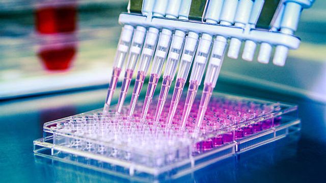 High Throughput Bulk RNA Barcoding and Sequencing  