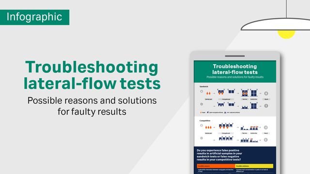 Lateral Flow Tests on iPad Screen 