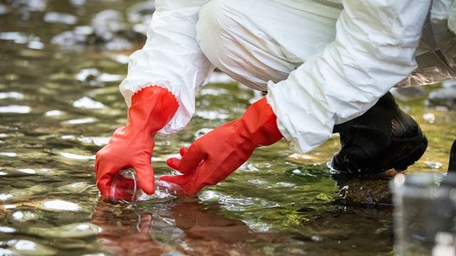 A scientist taking a water sample from natural water 