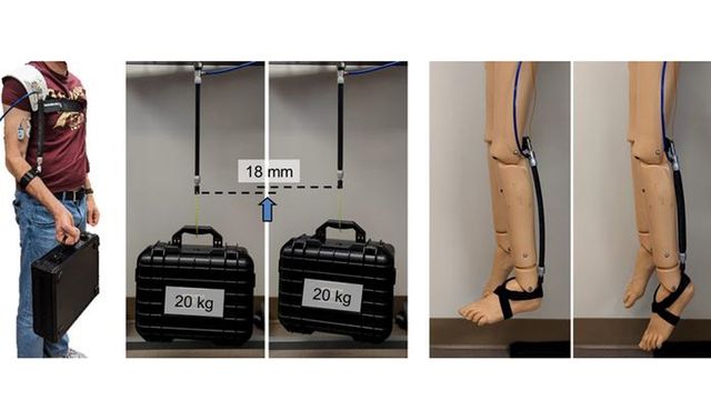 valuation of the effect of the assistance on the activity of the biceps muscle while lifting a weight of 5 kg. Results showed that on average the muscle activity was reduced by 39% with assistance compared to the condition without wearing the device. Middle: Demonstration of high assistive force: the muscle is able to lift a 20 kg object 18 mm off the ground. Right: Proof-of-concept demonstration of wearable robot application to assist ankle plantar flexion. 