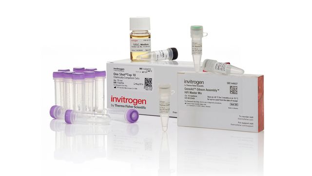 Gibson Assembly Cloning, Invitrogen, DNA fragments 