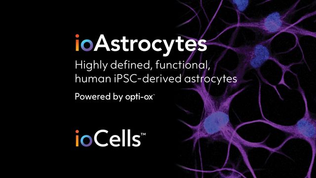 iPSC-derived astrocytes, human astrocytes, glial cells, opti-ox technology 