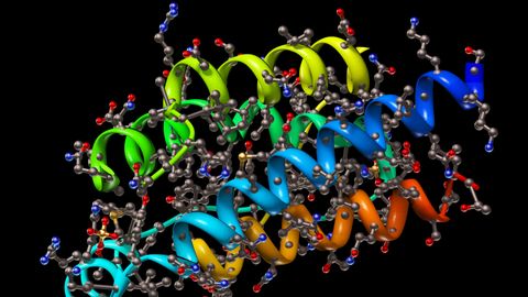 Key Techniques in Structural Biology, Their Strengths and Limitations