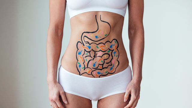 A person with a cartoon intestine and bacteria drawn on their abdomen. 