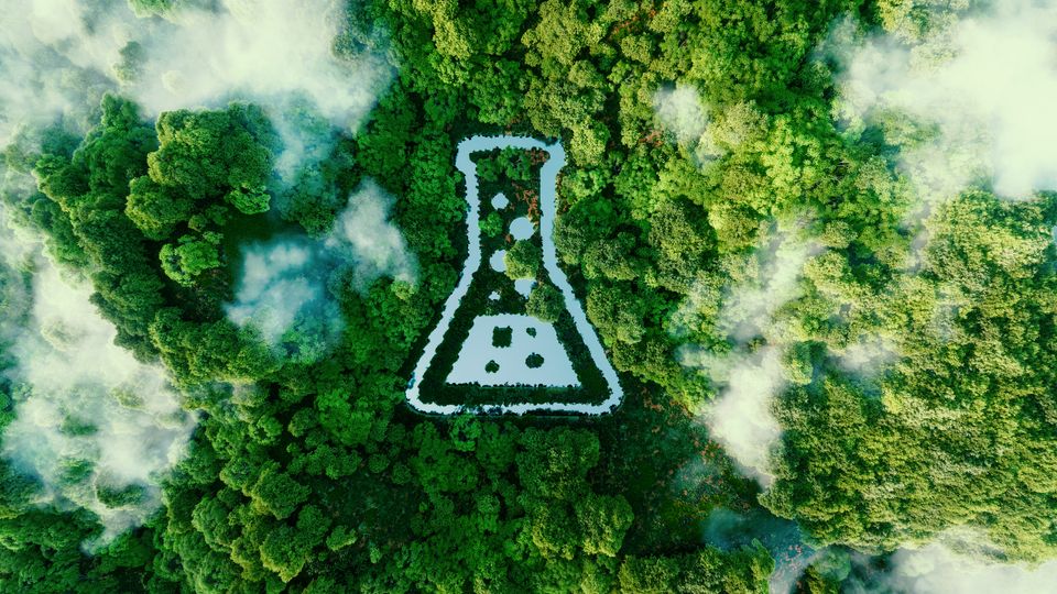 Aerial photograph of a rainforest canopy with a painting of a white conical flask in the center.