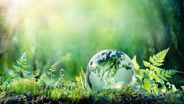 A small globe sitting among shrubbery. 