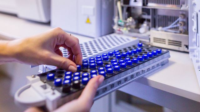 Hands loading samples into a tray for HPLC analysis. 