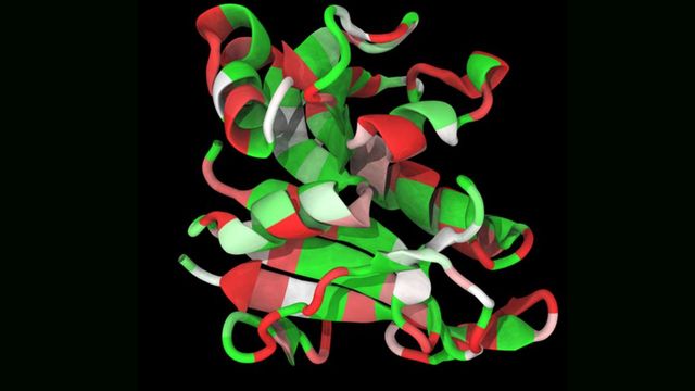 The 3D structure of a protein, with areas labelled in red, white and green. 