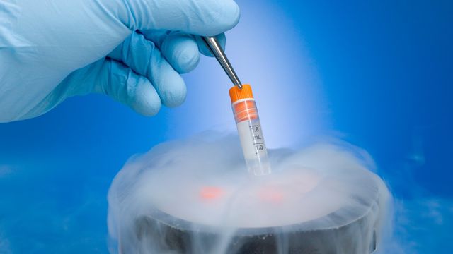 Gloved hand using tweezers to remove a test tube from liquid nitrogen. 