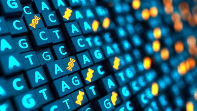 Keys displaying DNA bases. 