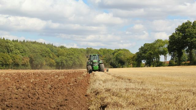 A green tractor halfway through ploughing a field. 