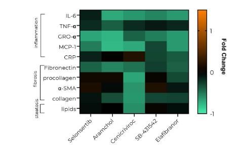 Efficacy screening of anti-MASH drugs using a panel of inflammatory, fibrosis and steatosis biomarkers using MPS.