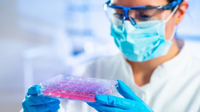 Lab Worker With Cell Dish 