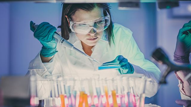 A lab worker pipetting media into a cell culture dish. 