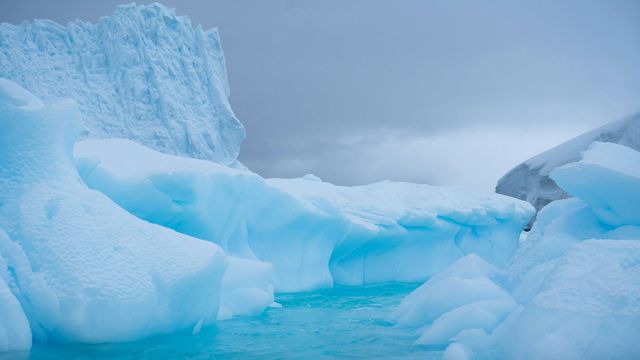 White-blue ice floes on water, with a grey sky in the background. 