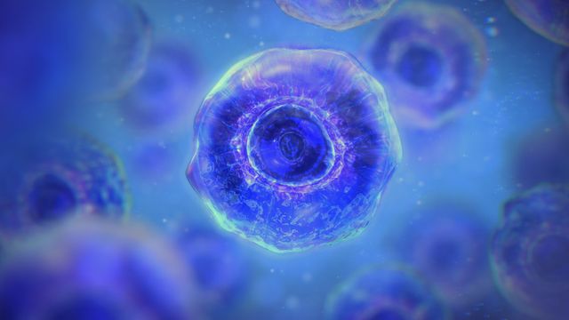 A close-up of several blue cells floating in a blurred, blue background. 