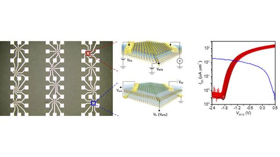 A microscope image and a diagram of the transistor, and a graph showing the performance.