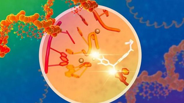 A small molecule blocks the DNA splicing site of an enzyme. 