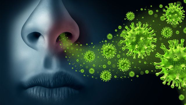 Illustration of viral particles entering a nose. 