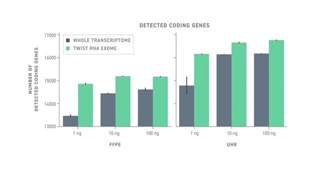 Detecting Coding Genes 