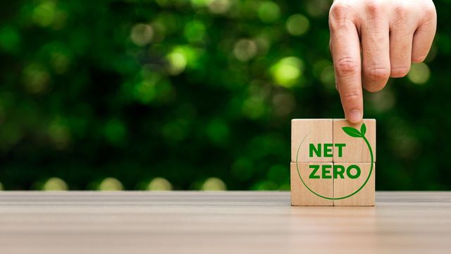 Human finger pointing to four square wooden blocks forming a larger square, with the words "net zero" printed in green font. In the background there are blurred out leaves. 