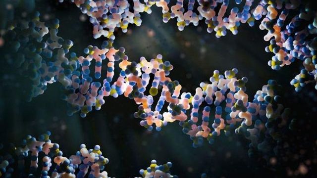 Techniques for Oligonucleotide Analysis 