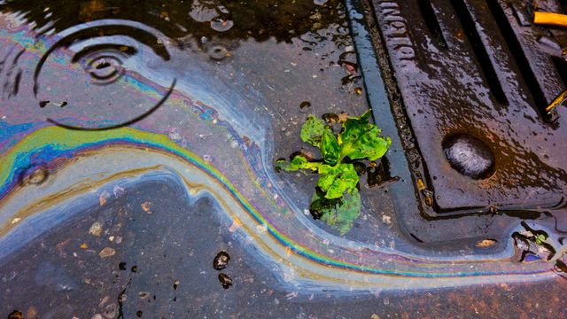 Green leaf floating in polluted water 