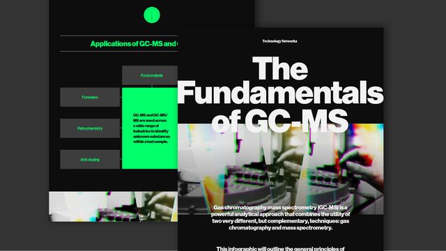 A snippet of the Fundamentals of GS-MS infographic 