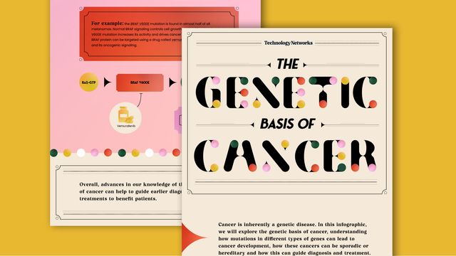 The Genetic Basis of Cancer infographic snippet 