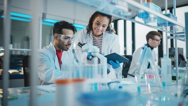 Three researchers in a lab. 