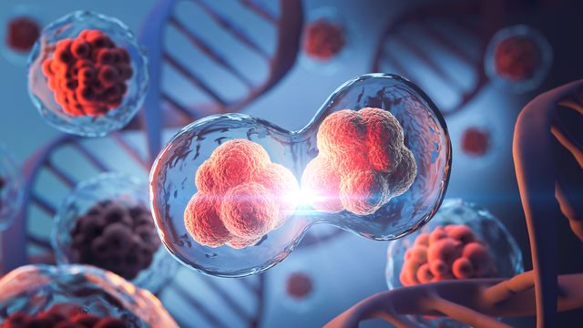 A stem cell dividing in two with other cells and DNA helices in the background 