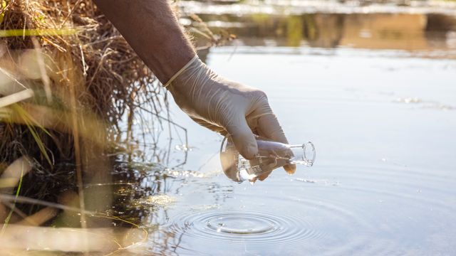 A glass vial being lowered to the surface of a calm river 