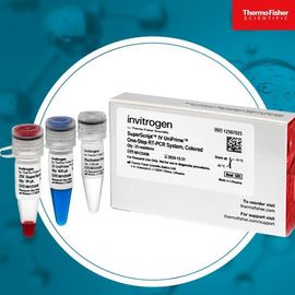 SuperScript IV UniPrime One-Step RT-PCR System 