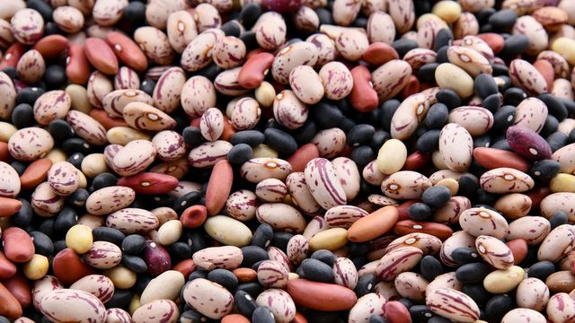 Beans of different sizes, shapes and colors. 